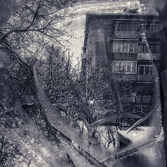 фото "Провинция. Соседи"