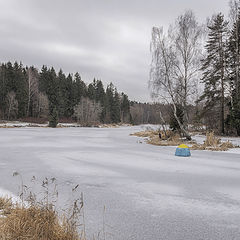 фото "Один на реке"