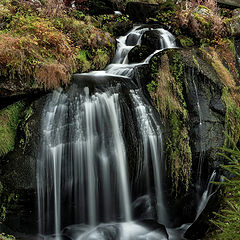 фото "Водопад Триберг (Triberger Waterfall)"