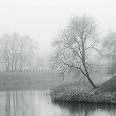 фото "..в туманах декабря.."