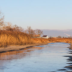 фото "Первые заморозки."