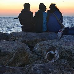 photo "..günün son ışıkları..ve geceye doğru.."