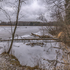 фото "Первый лёд"