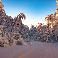 фото "На перепутье"