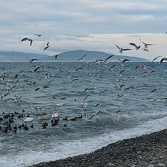 photo "The Black Sea"