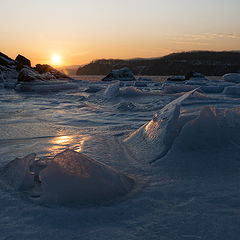 фото "Чудища морские"