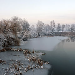 фото "Филигрань"