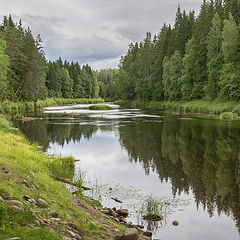 фото "Карельская речка"