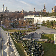 фото "Ёлки 2"