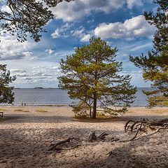 фото "На берегу озера"