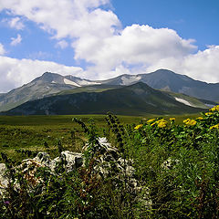 photo "***"