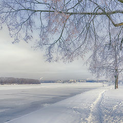 фото "Волга"