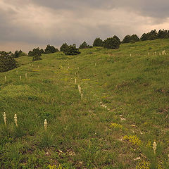 photo "A mountain pass"