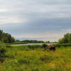 фото "Казачий ерик."