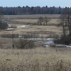 фото "Первый день марта"