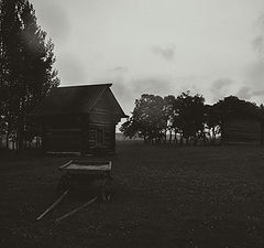 фото "***"