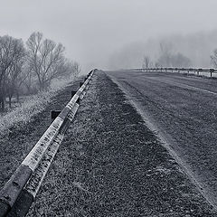 фото "..в туманные дали.."