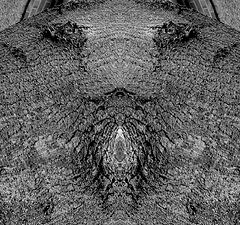 фото "the cunt"