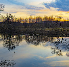 photo "Lines and curves"