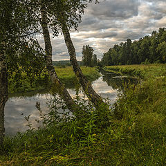 фото "август"