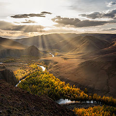 фото ""Лучики""