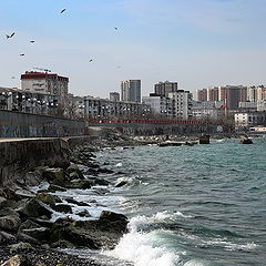 photo "Novorossiysk"