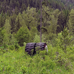 фото "Заехали"