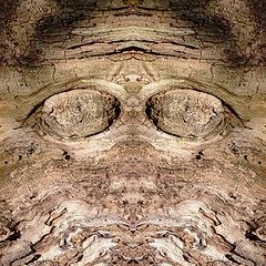 фото "blind devil"