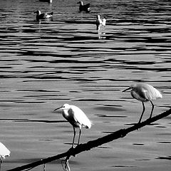 фото "in the port"
