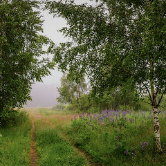 фото "июль"