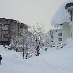 фото "Вечерняя прогулка."