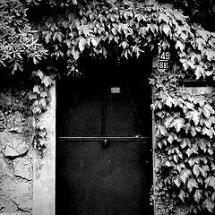 фото "on the road"
