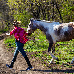 фото "На прогулке."