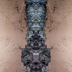 фото "the high-priest"