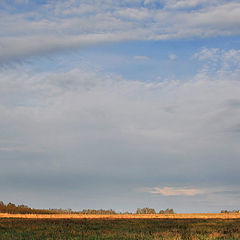 photo "***"