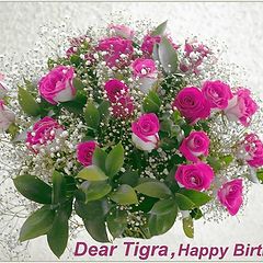 фото "Happy Birthday,Tigra!"