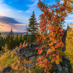 фото "Краски осени"