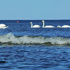 photo "On the beach of Limala. Ida Virumaa. Estonia"