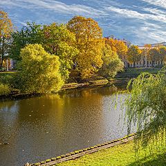 photo "The City Canal"