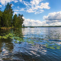 фото "Залив"