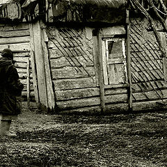фото "курочка Ряба"