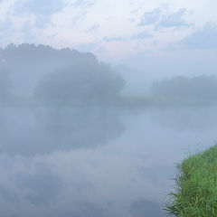 photo "Somewhere there is a hedgehog ..."