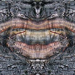 фото "lips"