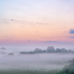 фото "Утро"