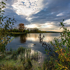 фото "Вечерняя прогулка"