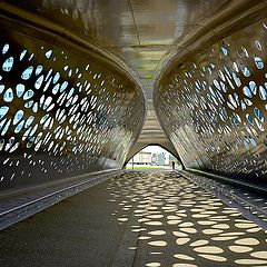 фото "Pedestrian bridge"