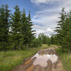 фото "По проселкам"