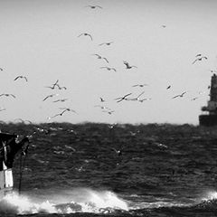 photo "the fishermen: coming back home"