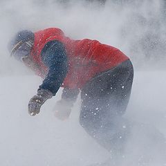 photo "Through the whiteout"