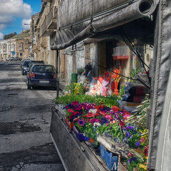 photo "Flower shop"